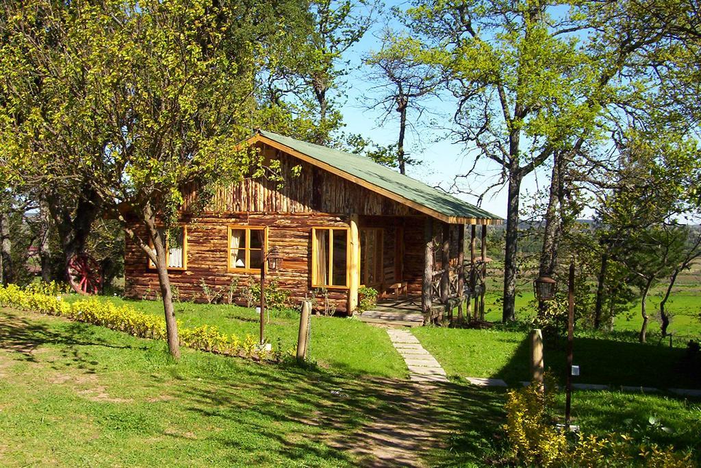 Lodge Mirador Chillán Eksteriør billede