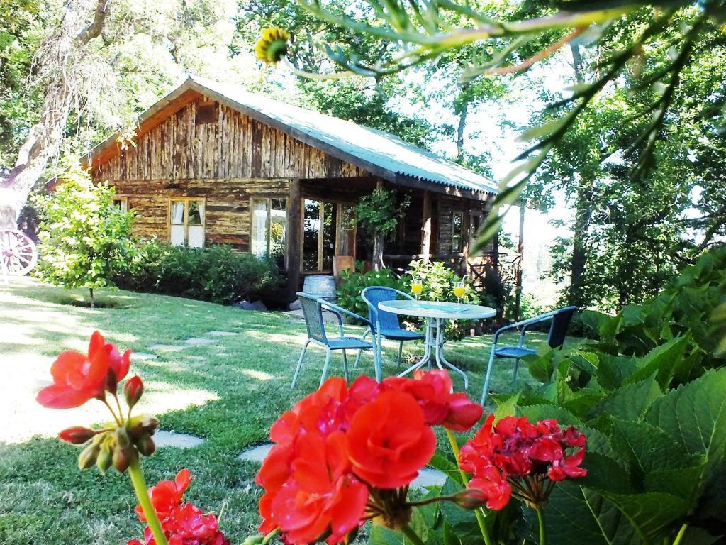 Lodge Mirador Chillán Eksteriør billede